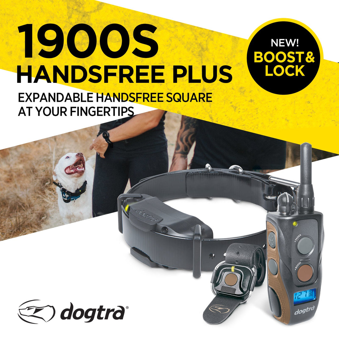 1900S HANDSFREE PLUS BOOST & LOCK