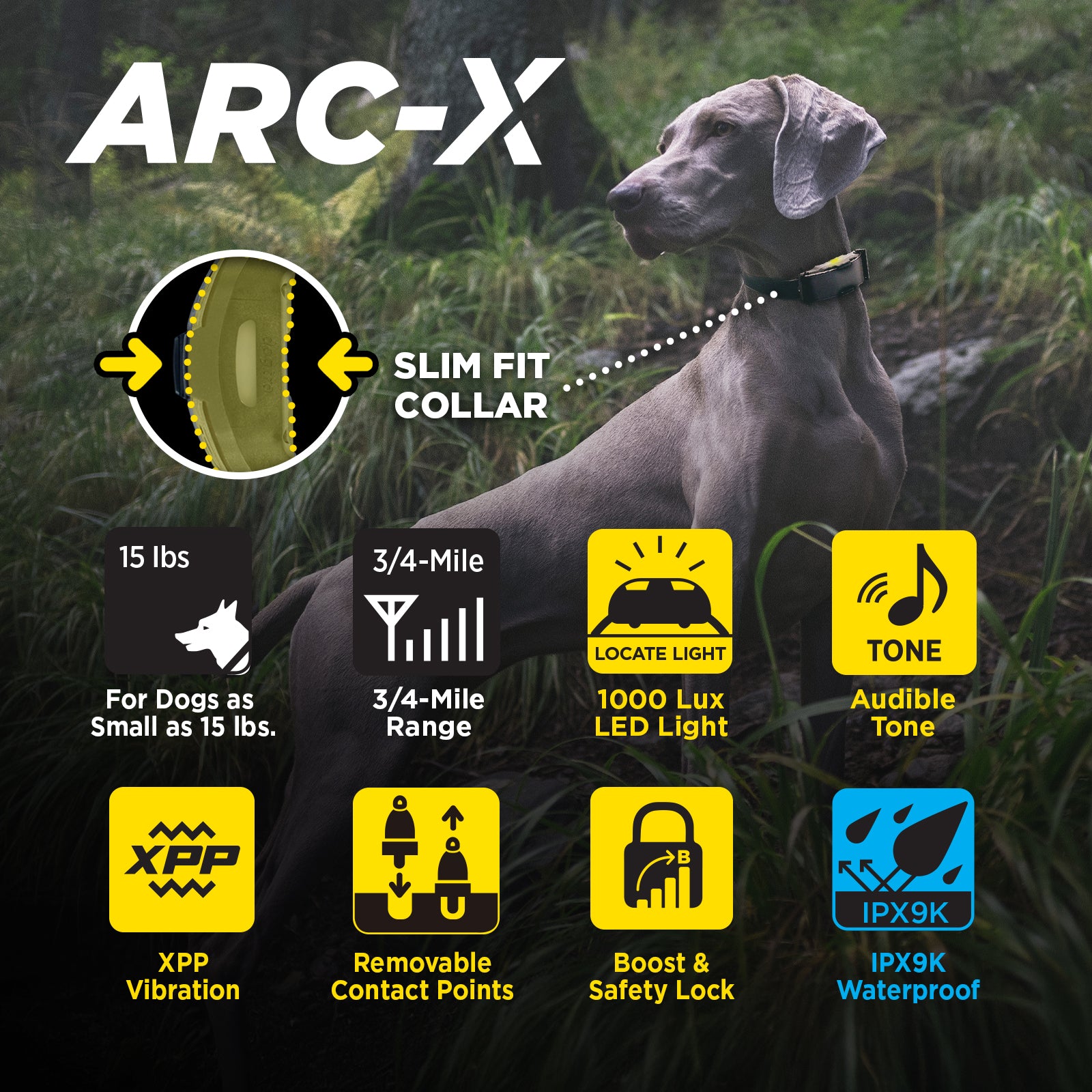 ARC-X 1-DOG UNIT