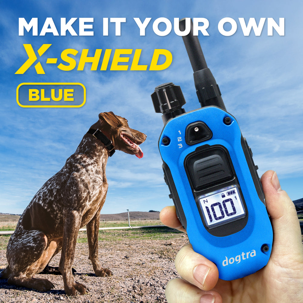 X-SHIELD - BLUE