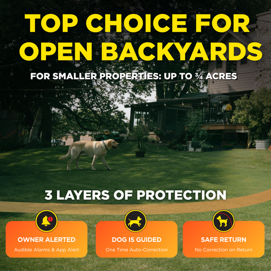 DOGTRA SMART FENCE + ORANGE TRAINING FLAGS BUNDLE