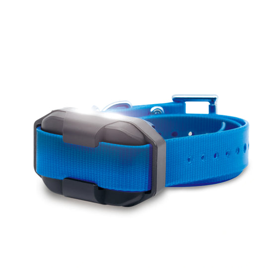 EDGE2 ADDITIONAL RECEIVER BLUE