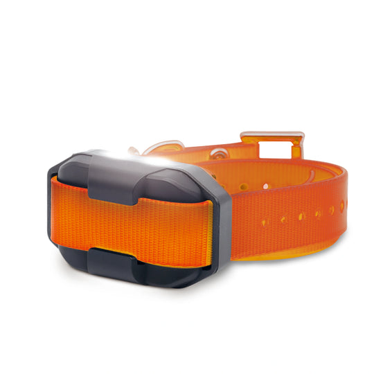 Dogtra EDGE2 orange additional receiver with a black electronic device on a white background
