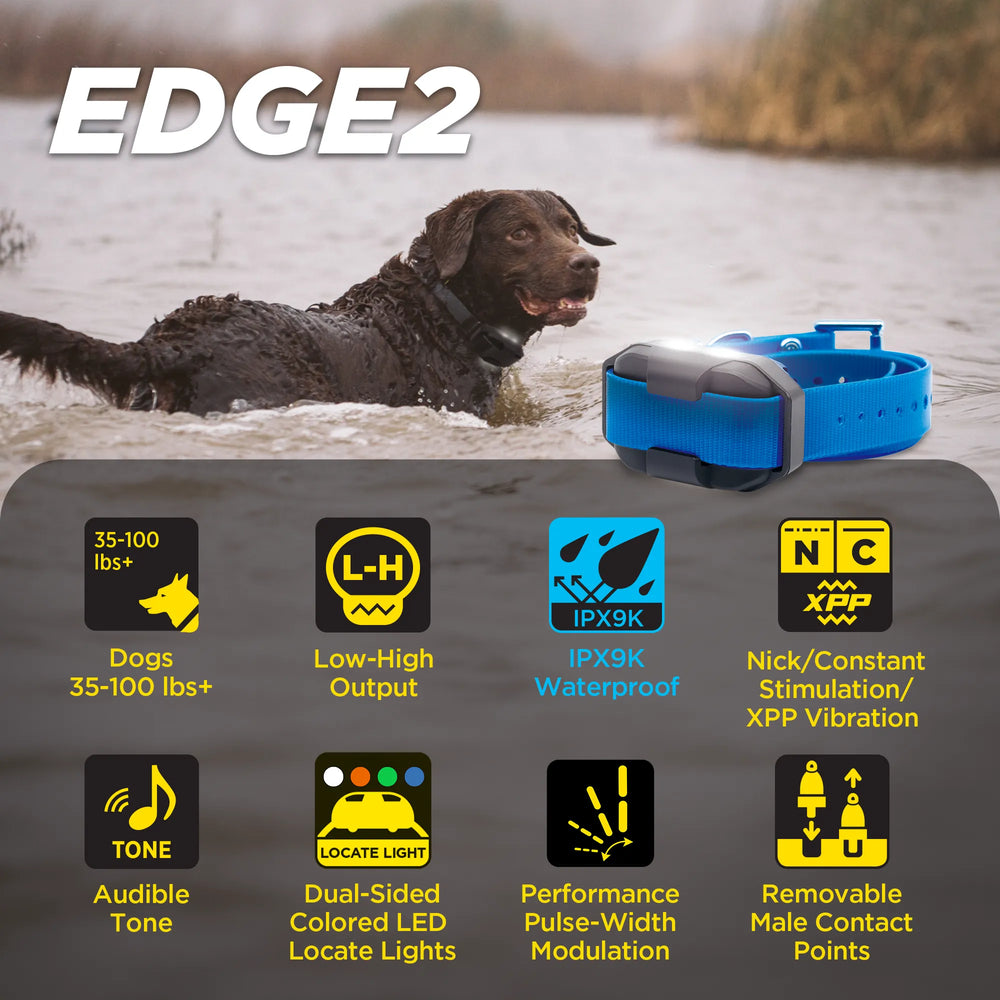 EDGE2 ADDITIONAL RECEIVER BLUE