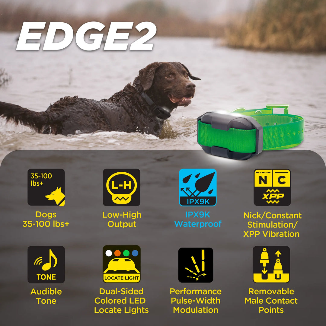 EDGE2 ADDITIONAL RECEIVER GREEN