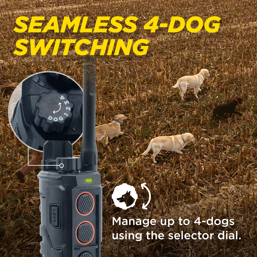 EDGE RT2 1-DOG UNIT