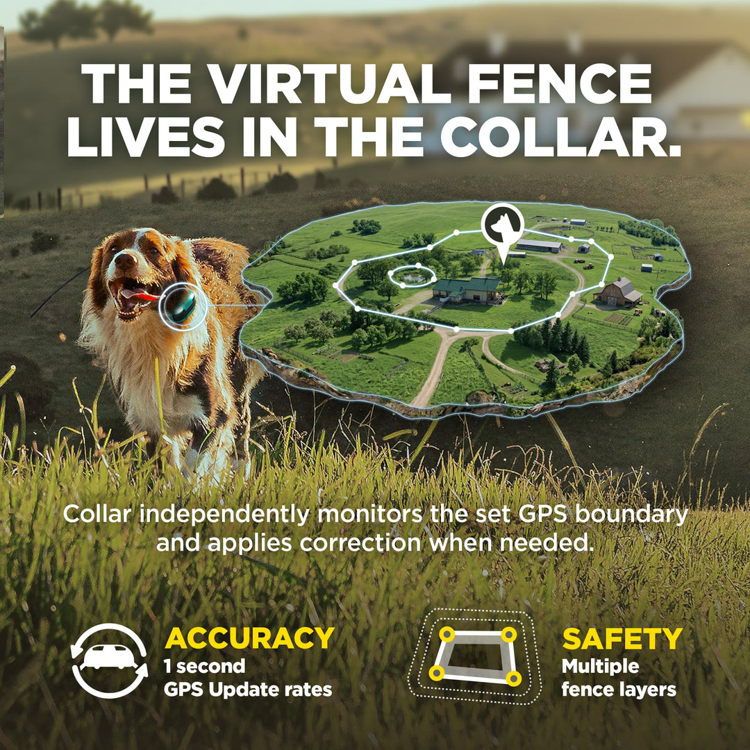 Promotional graphic for a virtual fence collar, featuring a dog in a field alongside a floating top-down map overlay of a farm boundary. Large text reads 'THE VIRTUAL FENCE LIVES IN THE COLLAR.