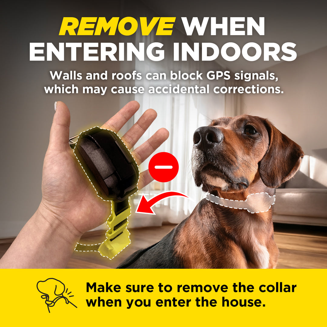 DOGTRA GPS FENCE