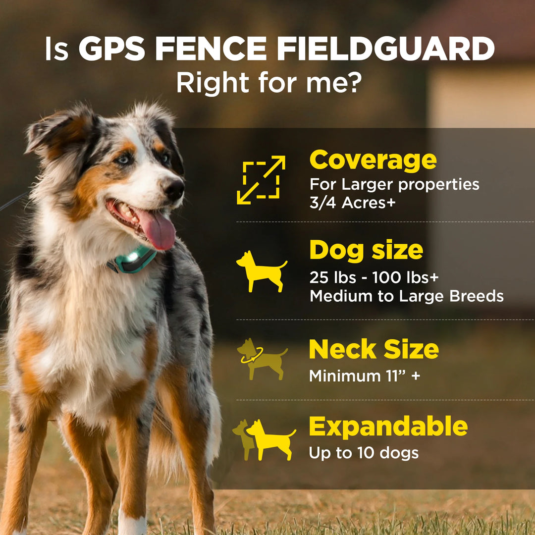 DOGTRA GPS FENCE FIELDGUARD