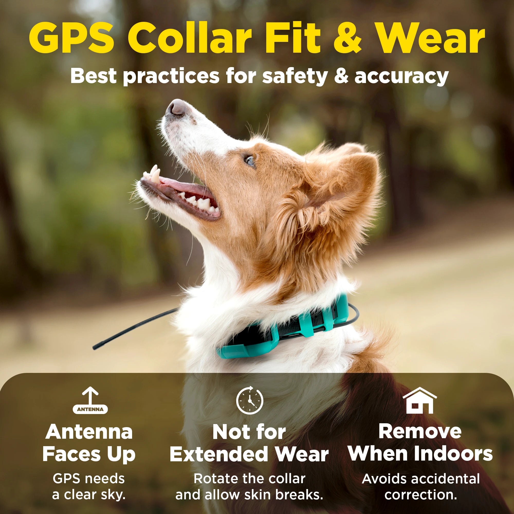 DOGTRA GPS FENCE FIELDGUARD