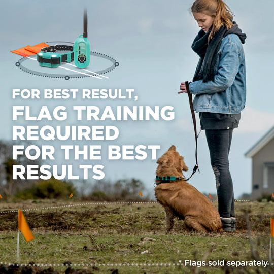 DOGTRA GPS FENCE FIELDGUARD