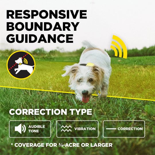DOGTRA GPS FENCE