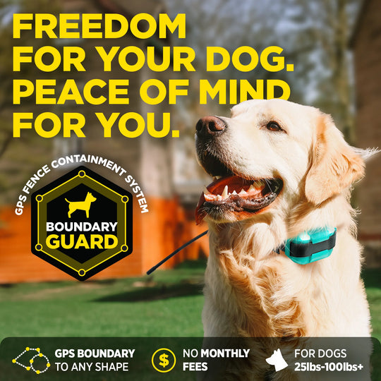 DOGTRA GPS FENCE FIELDGUARD