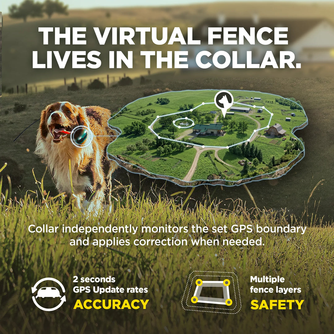 DOGTRA GPS FENCE FIELDGUARD