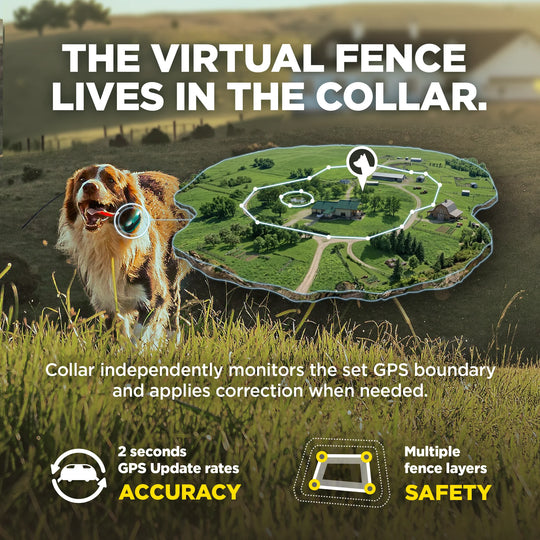 DOGTRA GPS FENCE FIELDGUARD