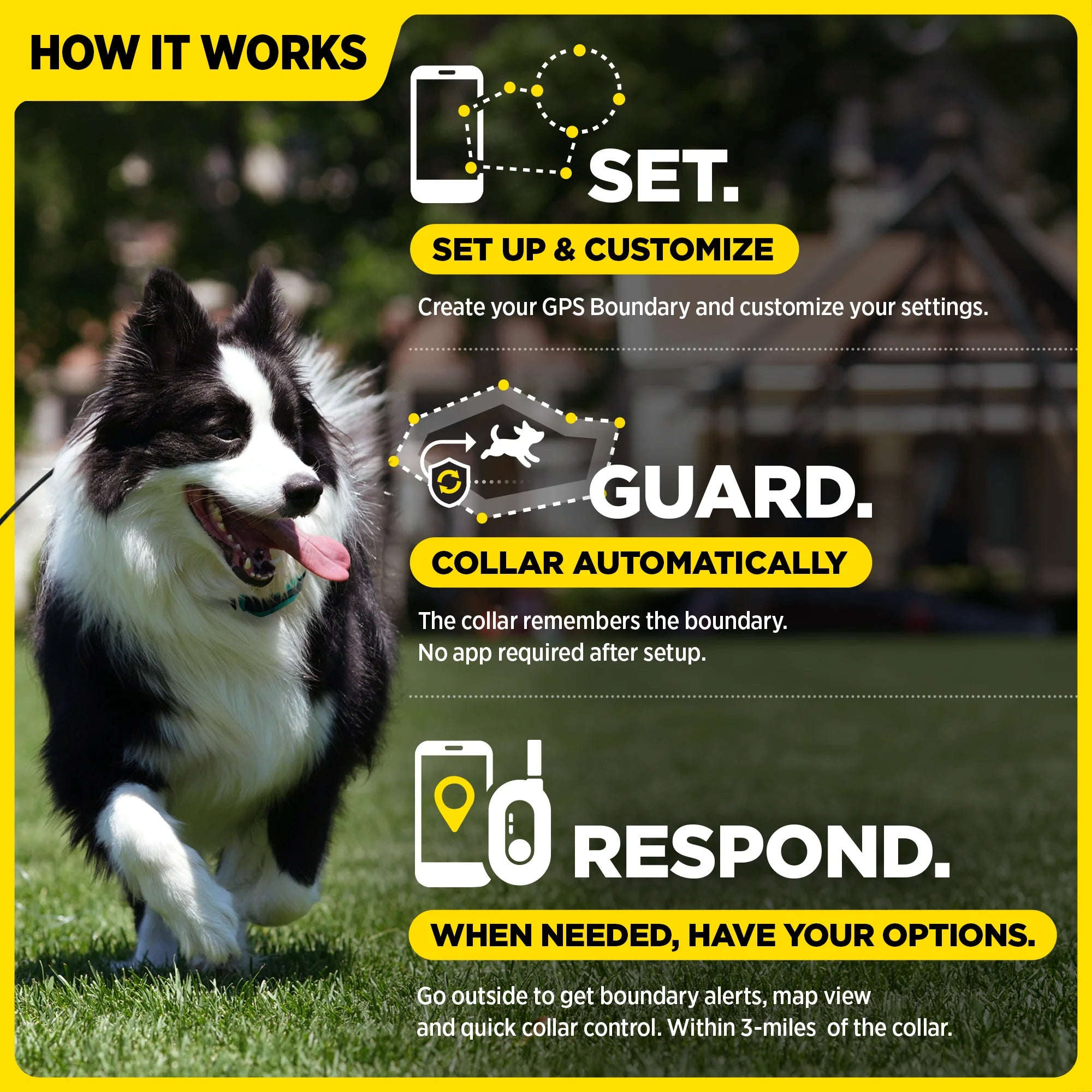 DOGTRA GPS FENCE FIELDGUARD