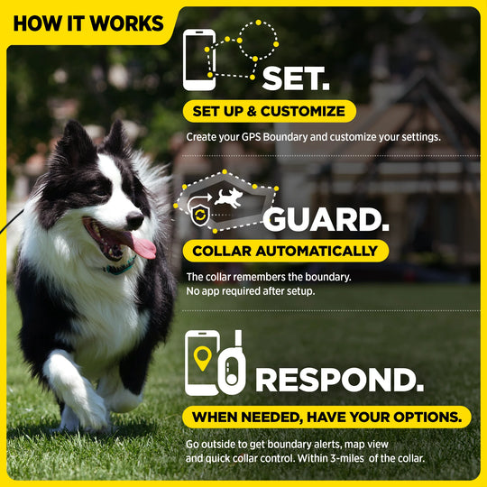 DOGTRA GPS FENCE FIELDGUARD