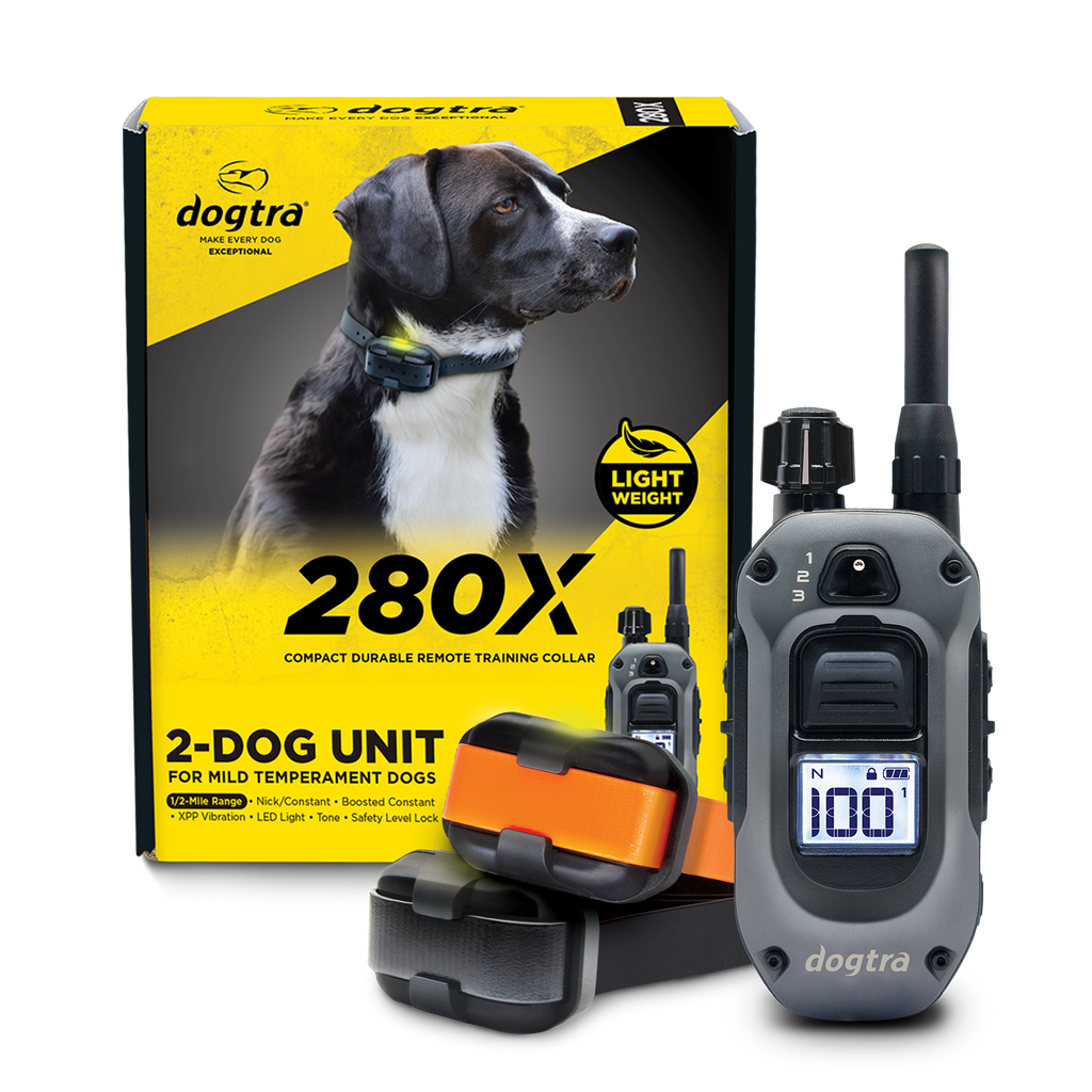 Listing-image_2dog_with-
