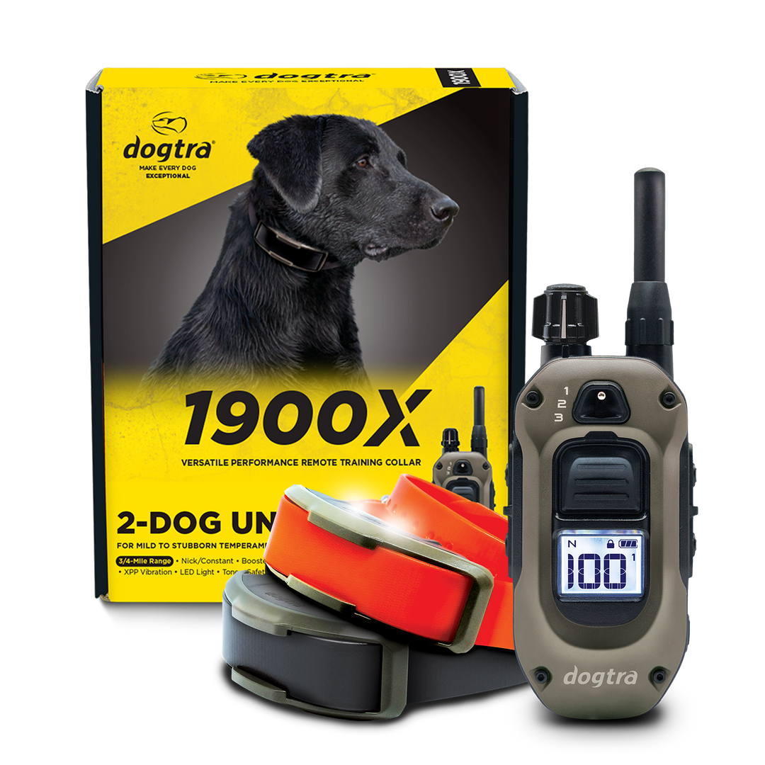 Dogtra 1900X 2 Dog E Collar System