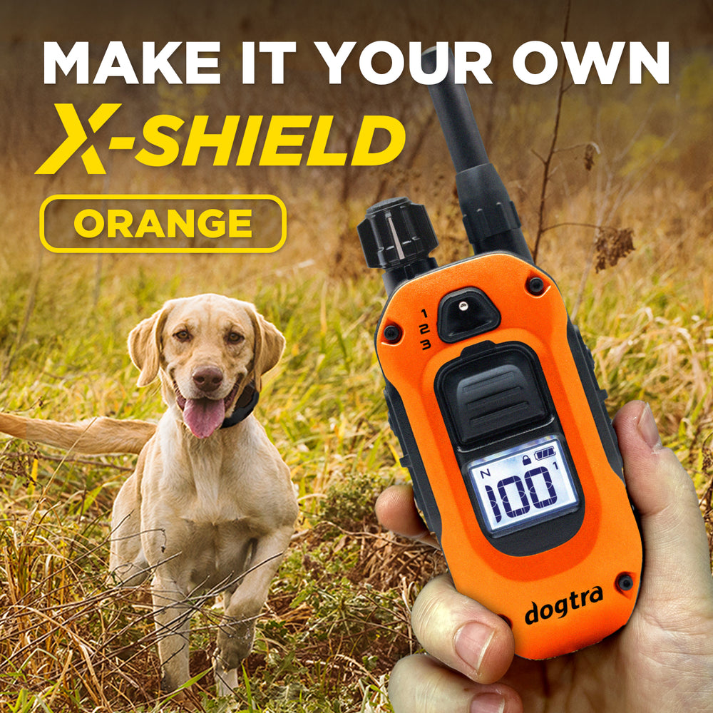 X-SHIELD - ORANGE