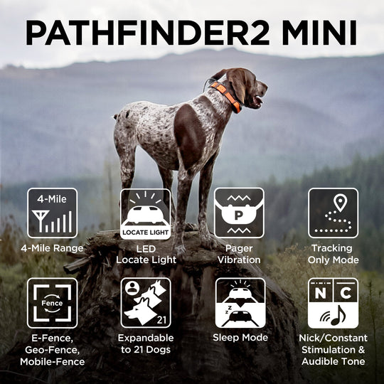 PATHFINDER2 MINI + ADDITIONAL PF2 MINI GPS E-COLLAR