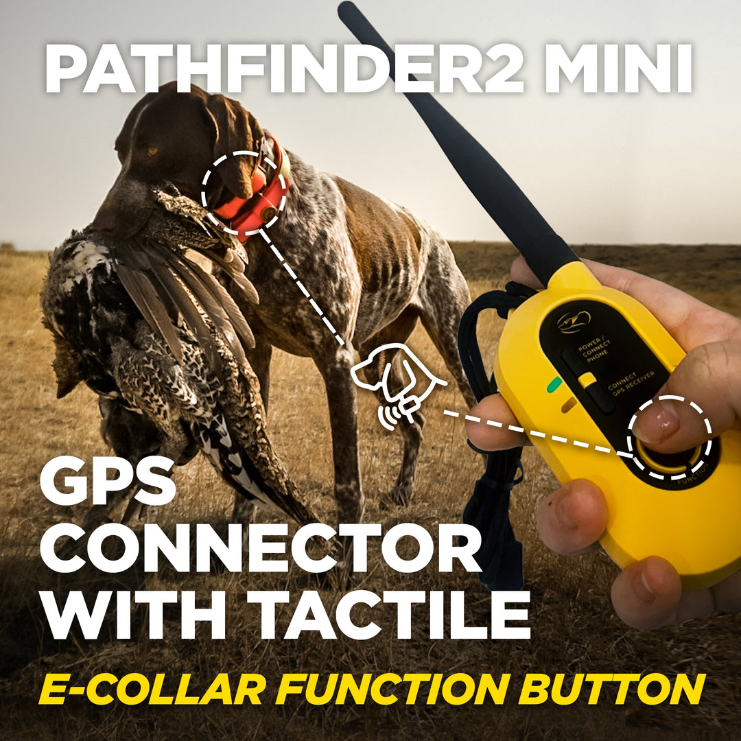 PATHFINDER2 MINI + ADDITIONAL PF2 MINI GPS E-COLLAR