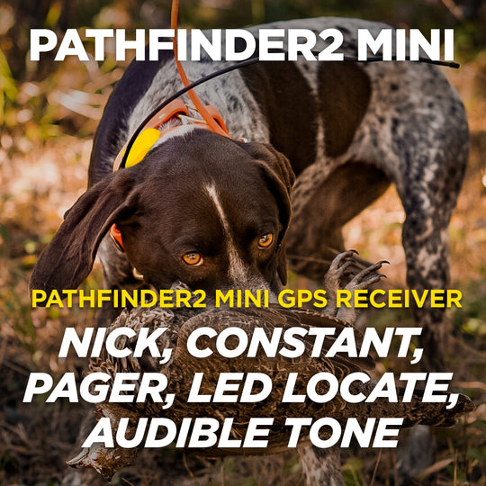 PATHFINDER2 MINI + ADDITIONAL PF2 MINI GPS E-COLLAR