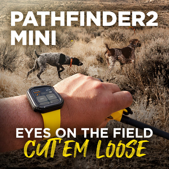 PATHFINDER2 MINI + ADDITIONAL PF2 MINI GPS E-COLLAR