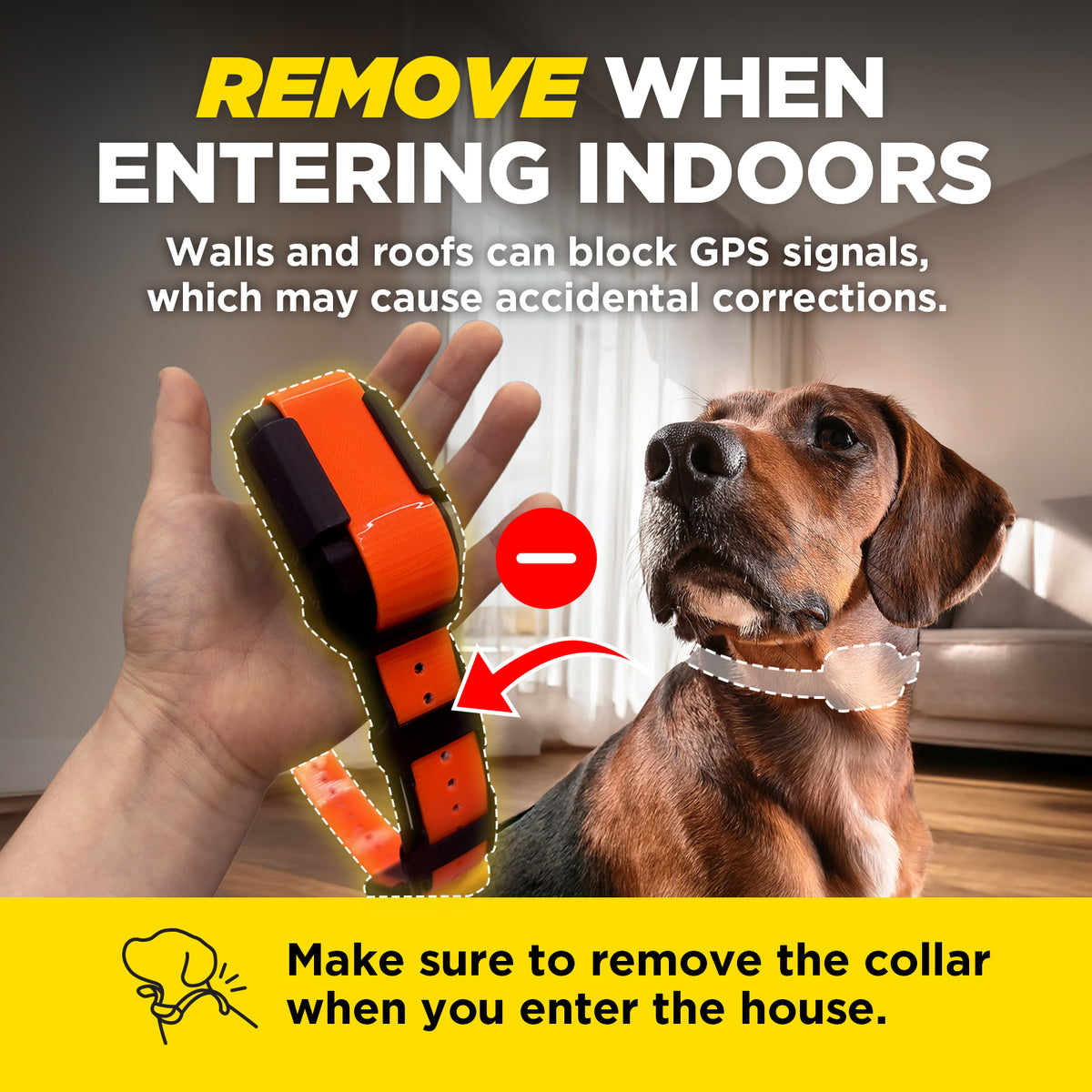 Green GPS collar with orange and black bands displayed on hand and worn by brown dog.