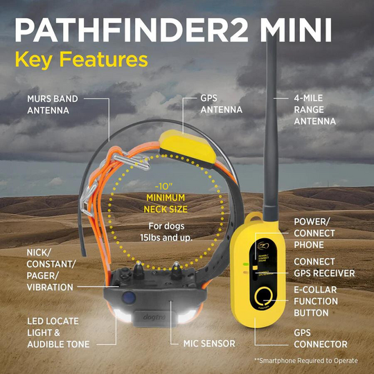 PATHFINDER2 MINI + ADDITIONAL PF2 MINI GPS E-COLLAR