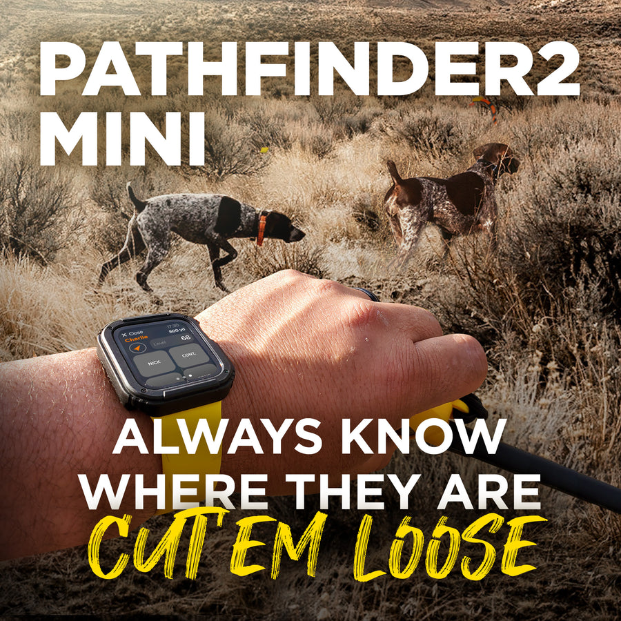 Pathfiner Dog PATHFINDER2 MINI β Dogtra.com