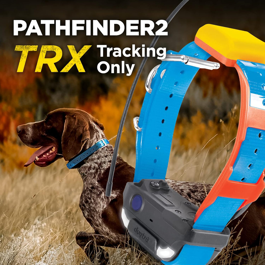 PATHFINDER2 TRX RECEIVER - BLUE