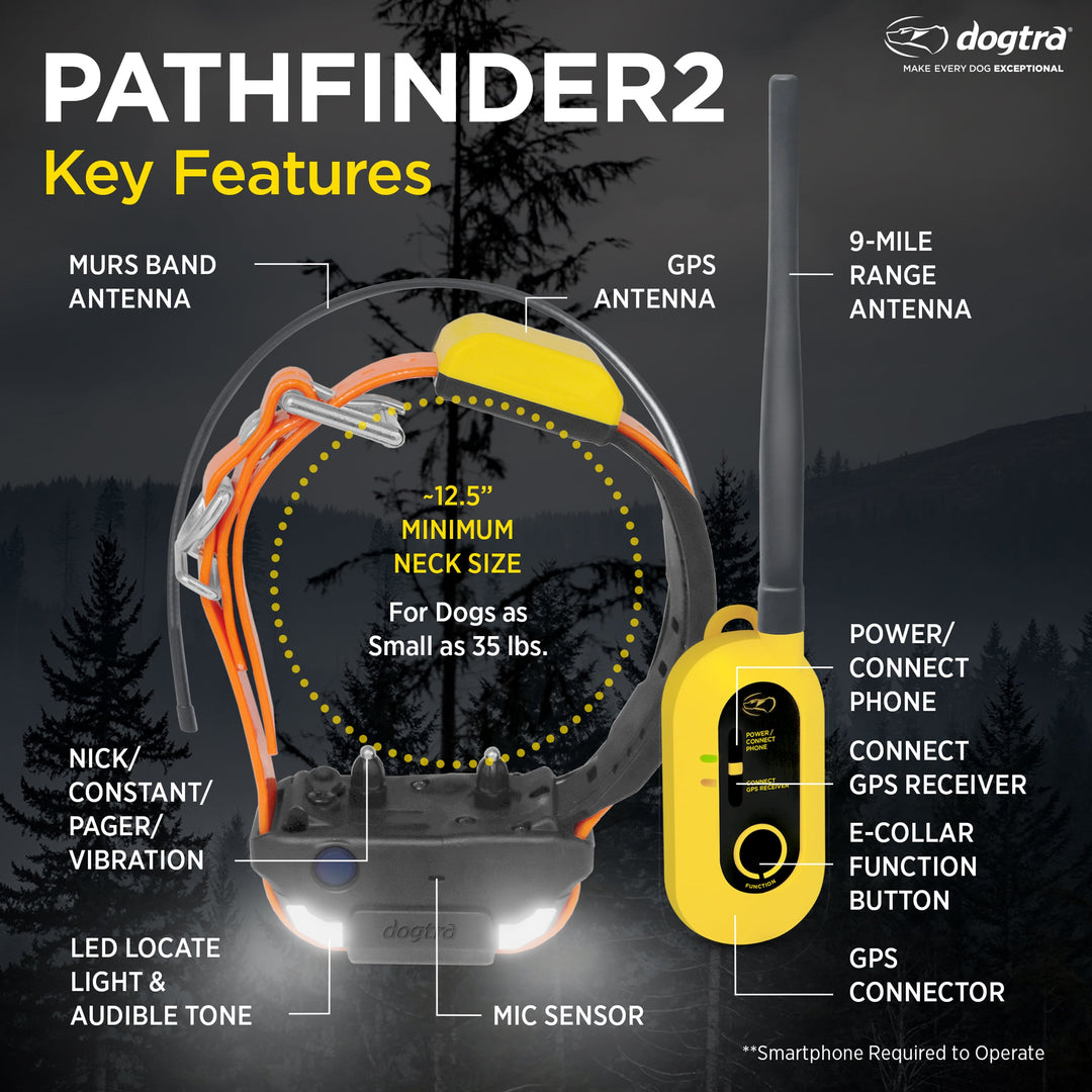 PATHFINDER2 GPS E-COLLAR SET + GREEN ADDITIONAL RECEIVER