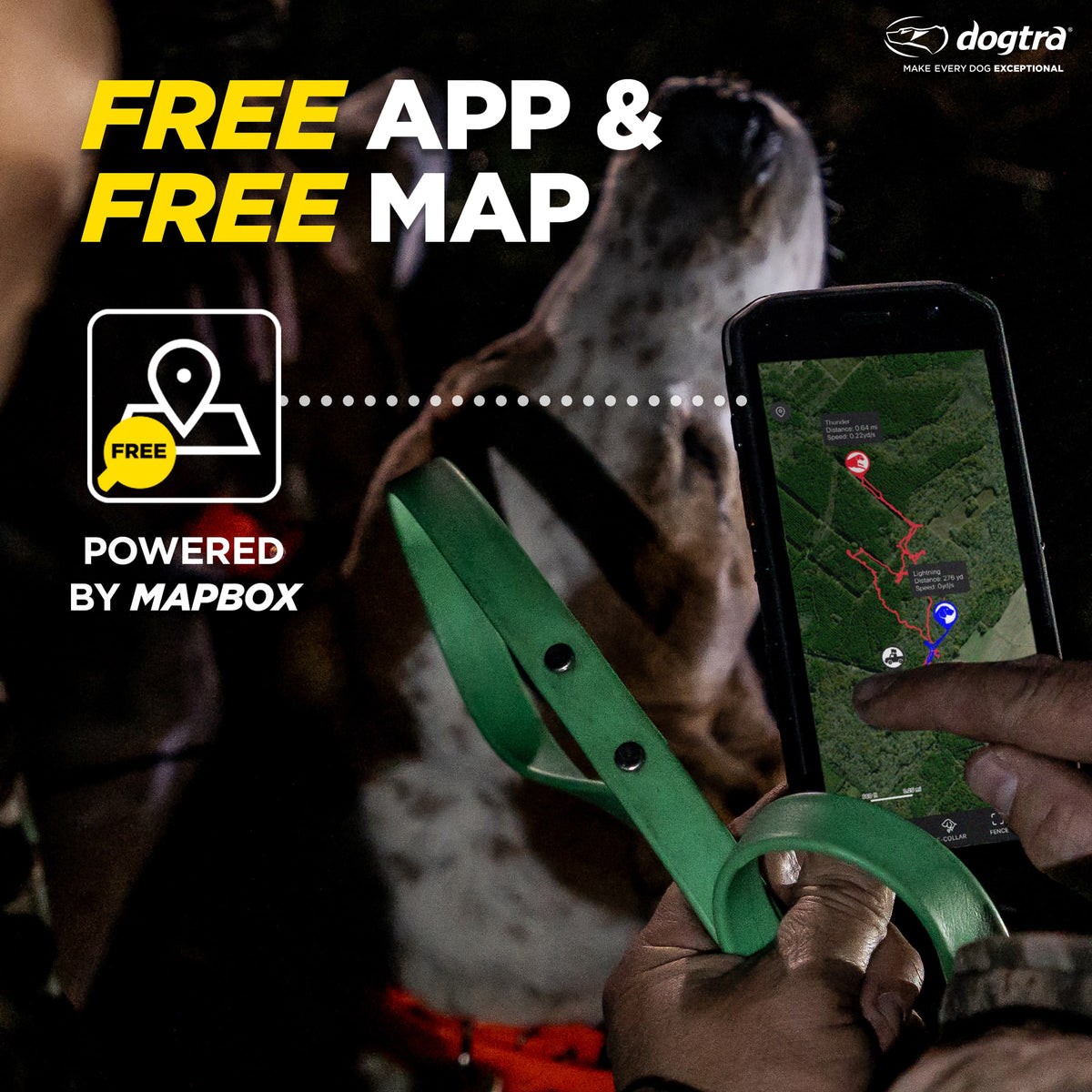Green GPS collar held in hand with smartphone displaying tracking map and dog in background.