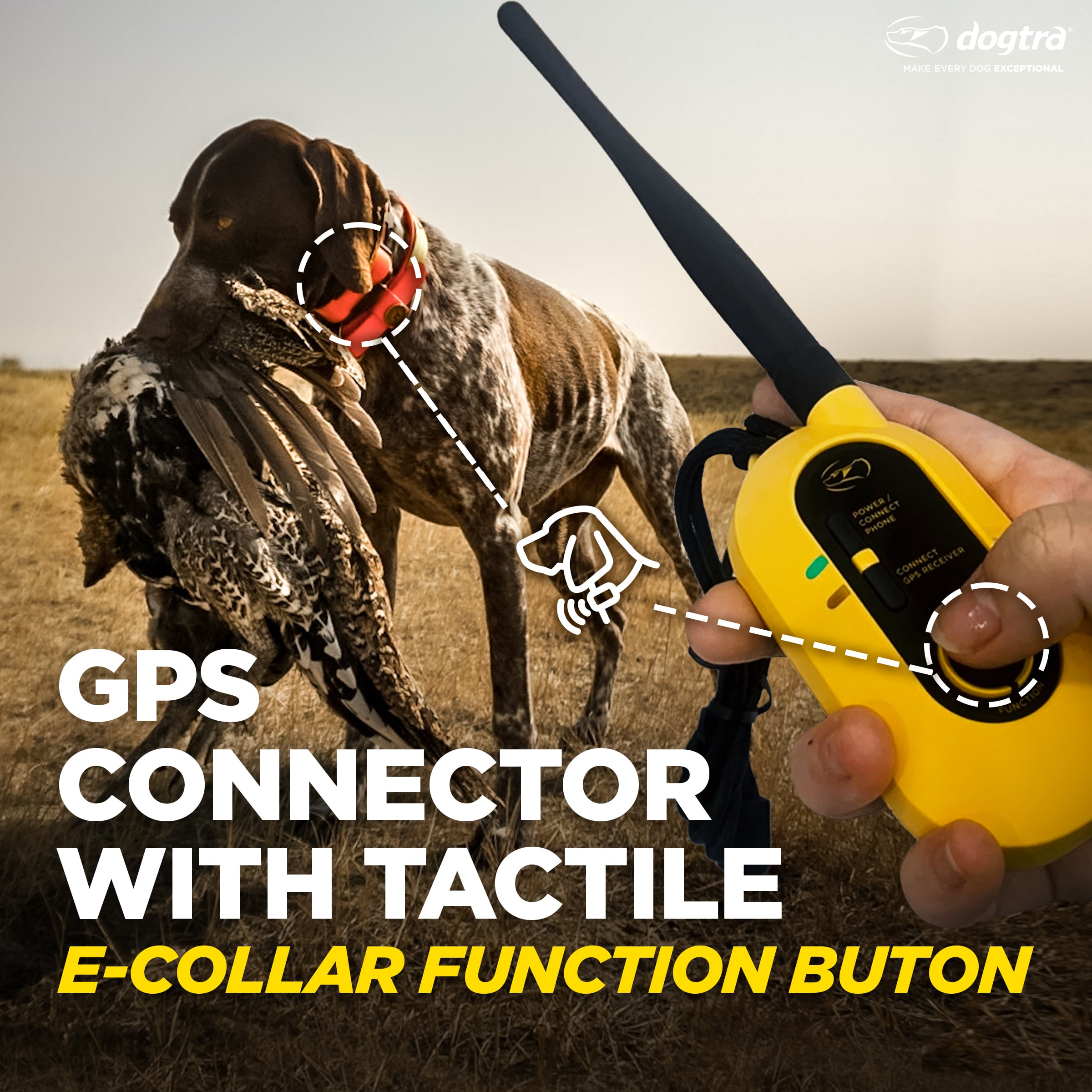 Yellow and black handheld GPS device with antenna held in hand next to hunting dog wearing red collar.
