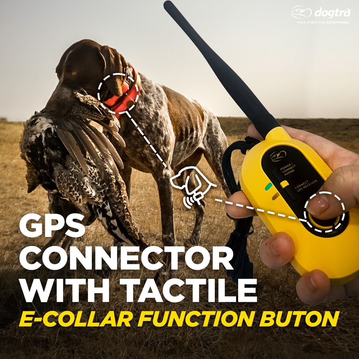 Yellow and black handheld GPS device with antenna held in hand next to hunting dog wearing red collar.