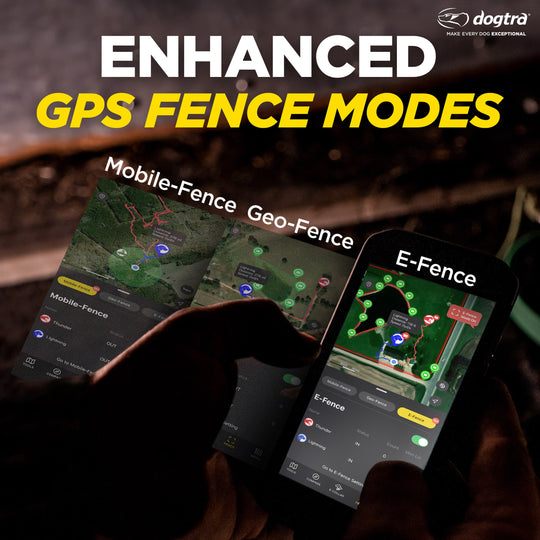 PATHFINDER2 GPS E-COLLAR SET + GREEN ADDITIONAL RECEIVER
