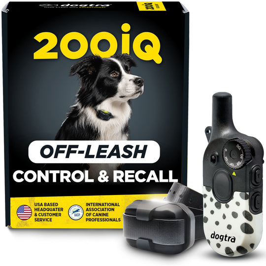 Black and white dotted remote training collar with black charging case displayed next to product packaging.