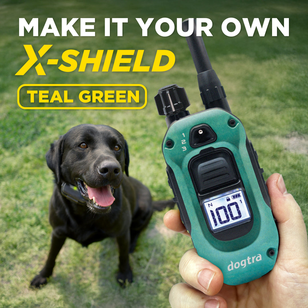 X-SHIELD - TEAL GREEN