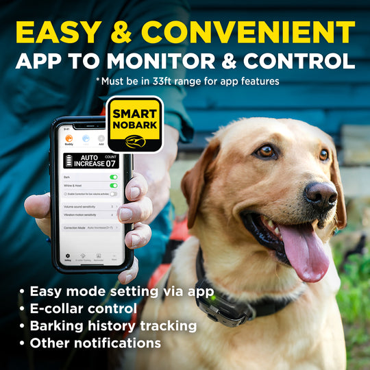 DOGTRA SMART NOBARK