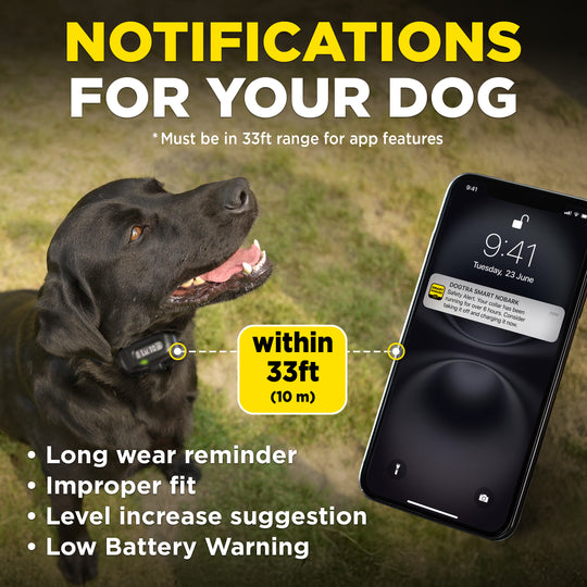 DOGTRA SMART NOBARK