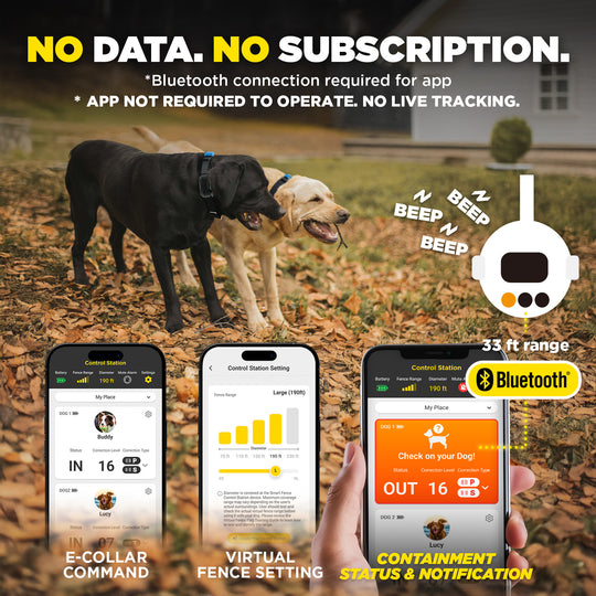 DOGTRA SMART FENCE