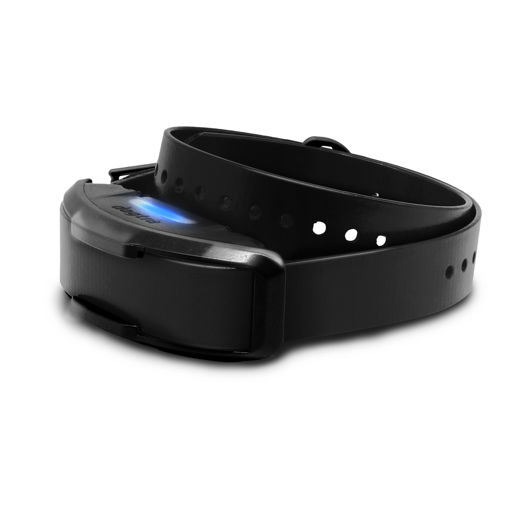 1900X BLACK EDITION ADDITIONAL RECEIVER