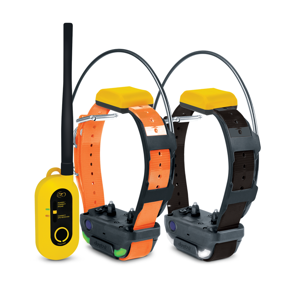 PATHFINDER2 GPS E-COLLAR SET + ADDITIONAL PF2 GPS E-COLLAR