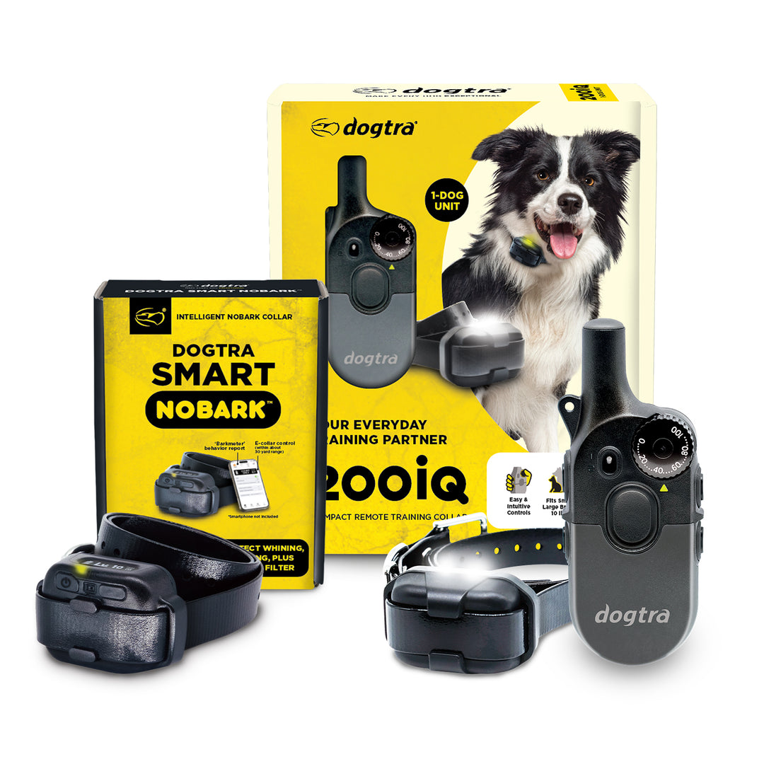 DOGTRA SMART NOBARK + 200iQ 1-DOG UNIT