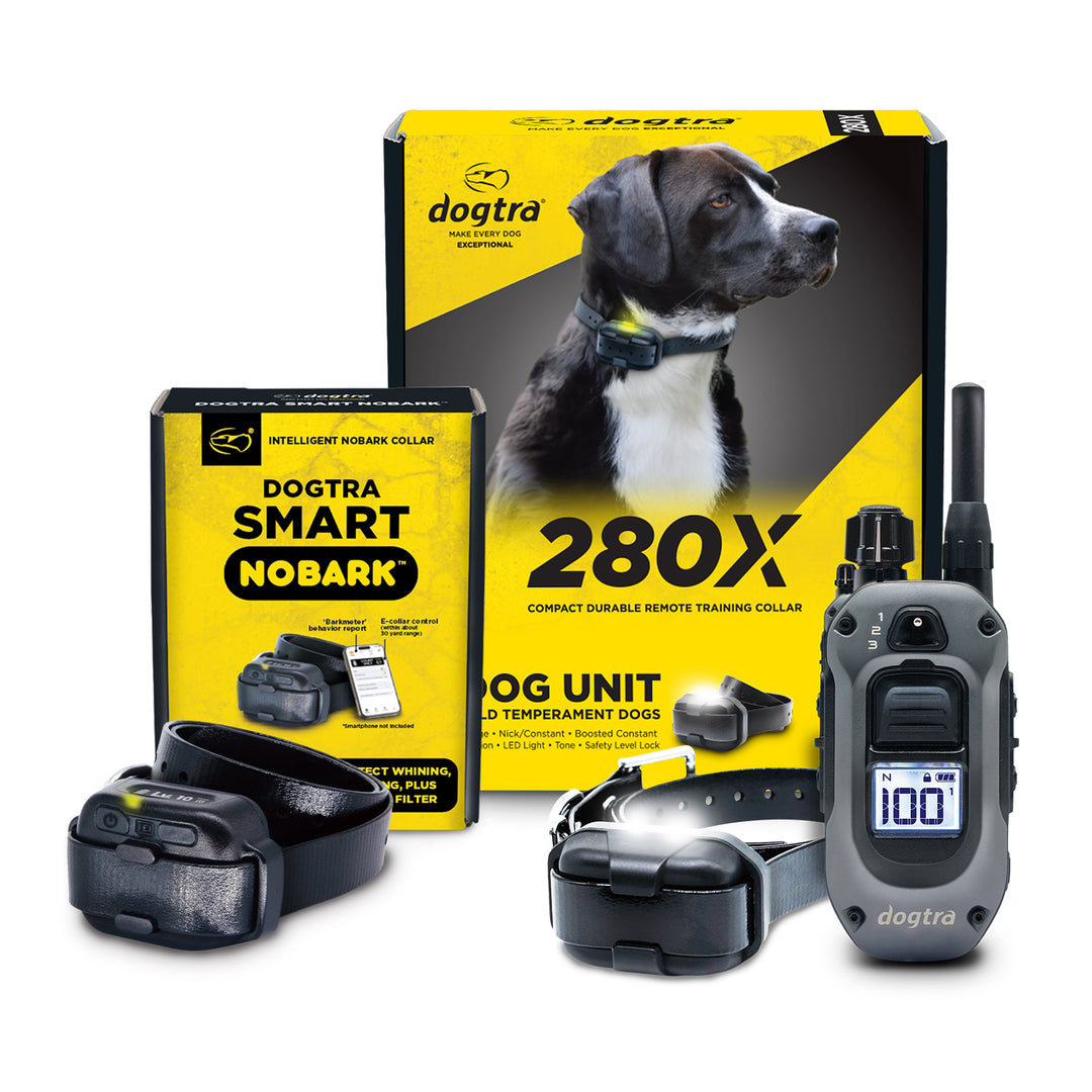 DOGTRA SMART NOBARK + 280X 1-DOG UNIT