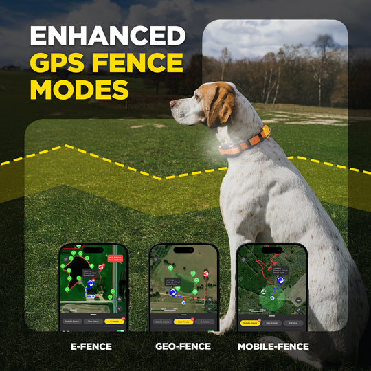 DOGTRA PATHFINDER2 MINI COMPASS