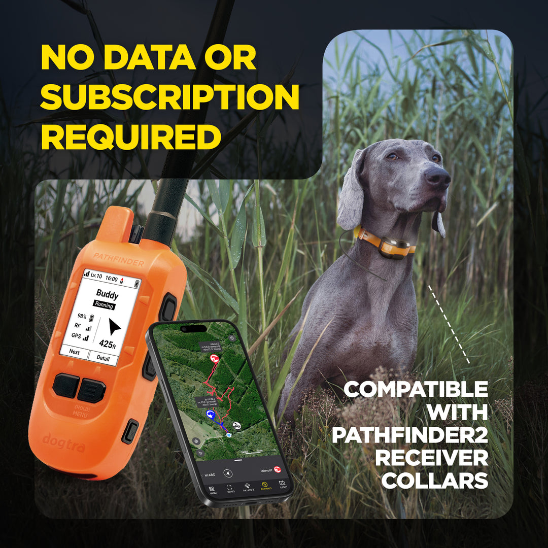 DOGTRA PATHFINDER2 MINI COMPASS