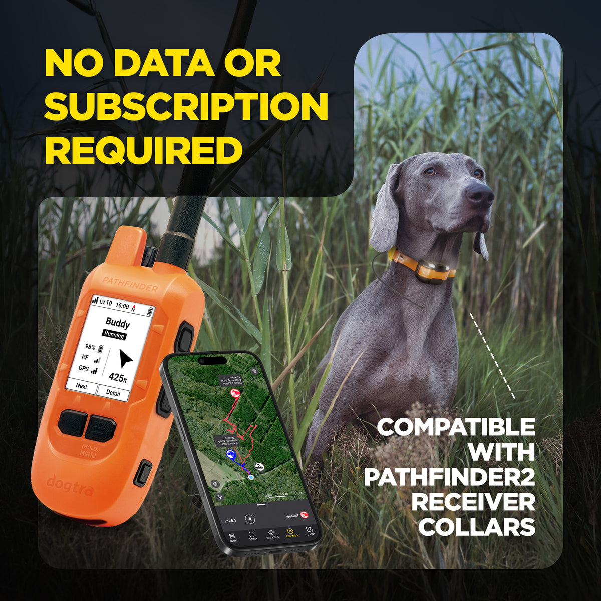 Orange Dogtra Pathfinder2 GPS device with screen display, smartphone showing map interface, and gray dog wearing orange colla