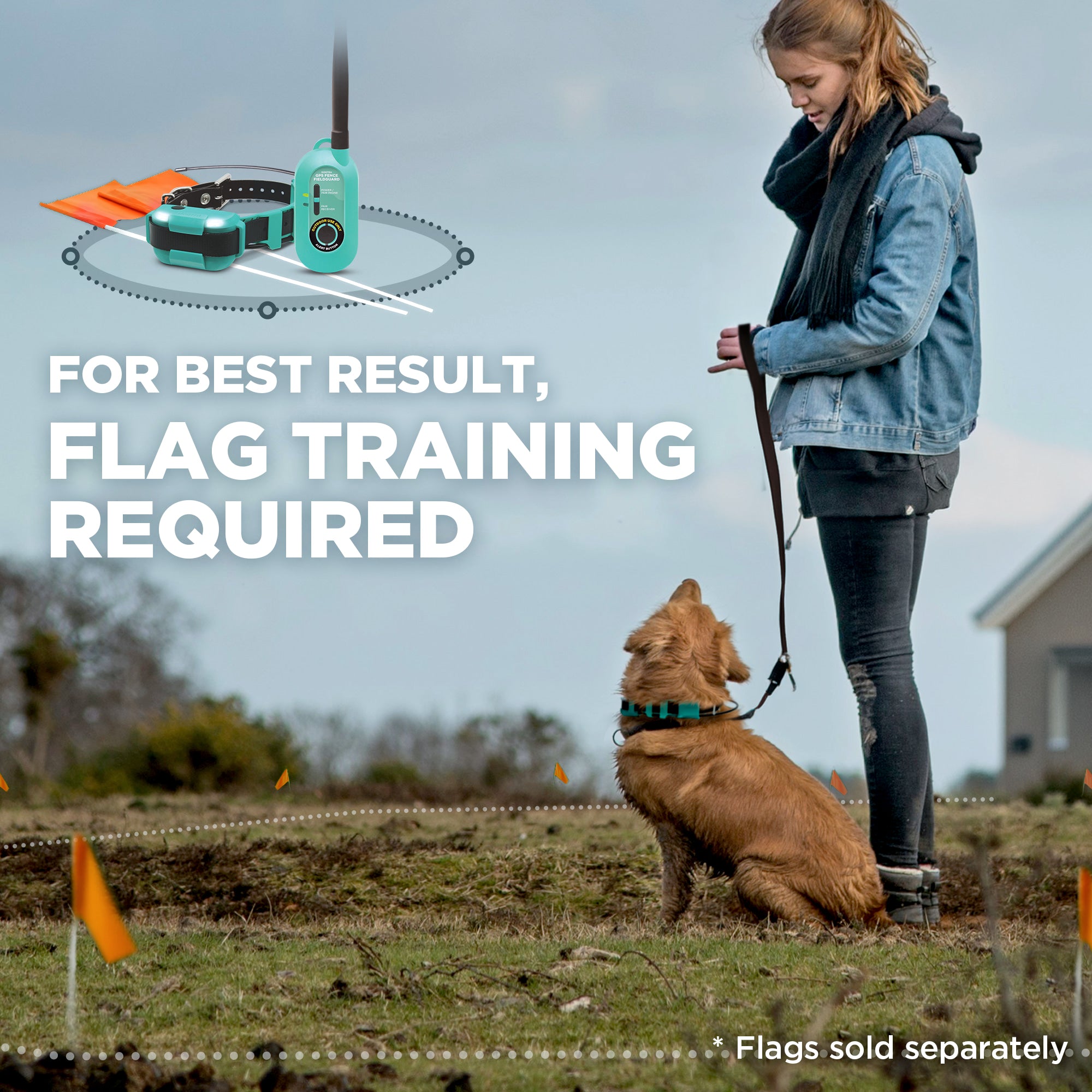 A woman standing outdoors with a golden retriever dog wearing a teal collar, with an inset graphic showing a teal electronic training device and walkie-talkie. Large text reads 'FOR BEST RESULT, FLAG TRAINING REQUIRED' and small orange flags are visible in the grass.