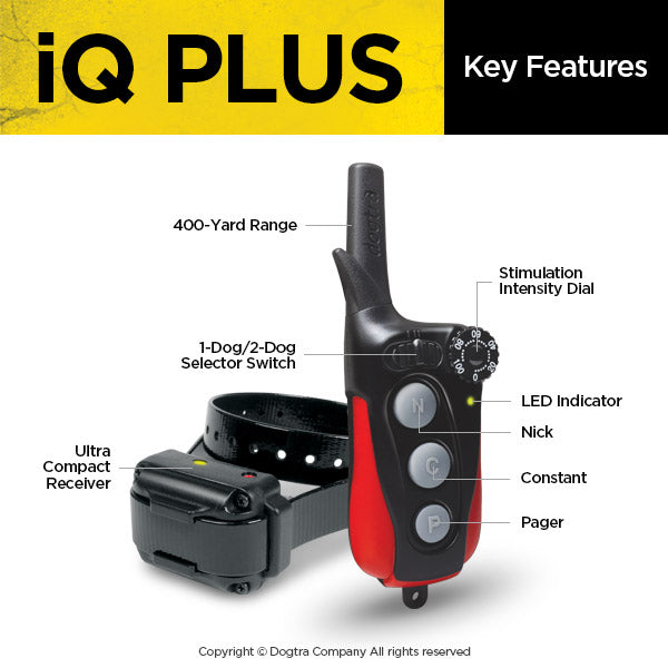 iQ PLUS Dogtra